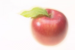 ferienwohnung holland