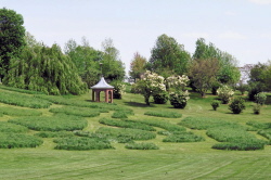 Gebrauchtboote in Holland