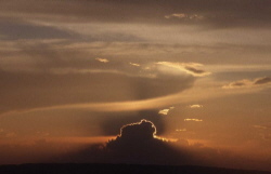 Jachthavens in Flevoland